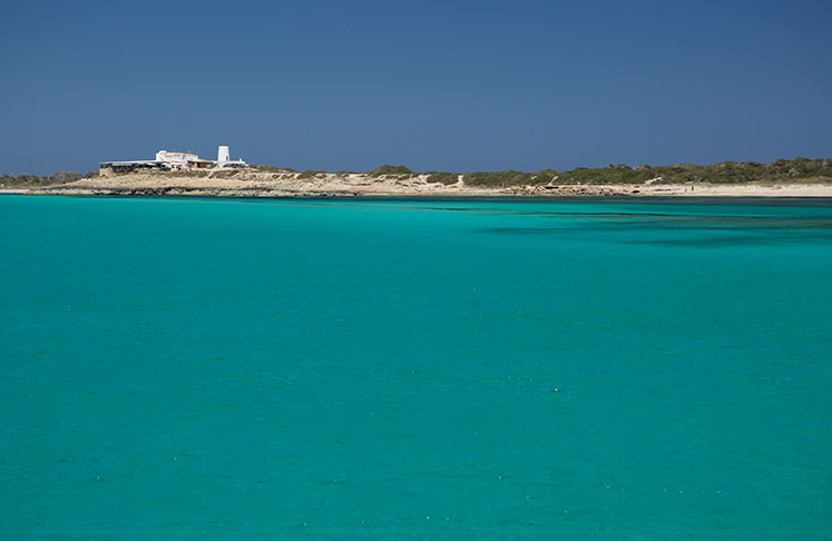 Moli de Sal Restaurant in Playa de ses Illetes